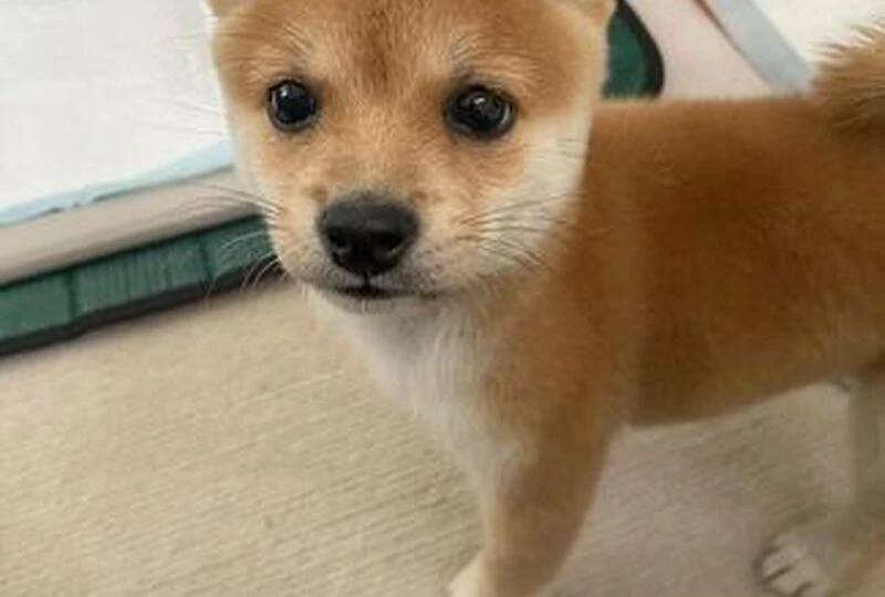 中井２